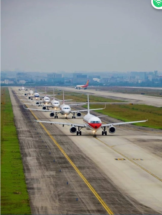 �ɶ����ʺ�����ŦԺ�Ϲ������������ܵ��������·���̶���Σ���...