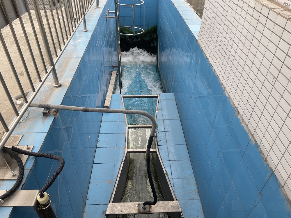 ΢��ͼƬ_202104091216102